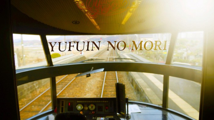 374495_10151807093077294_1199814584_n