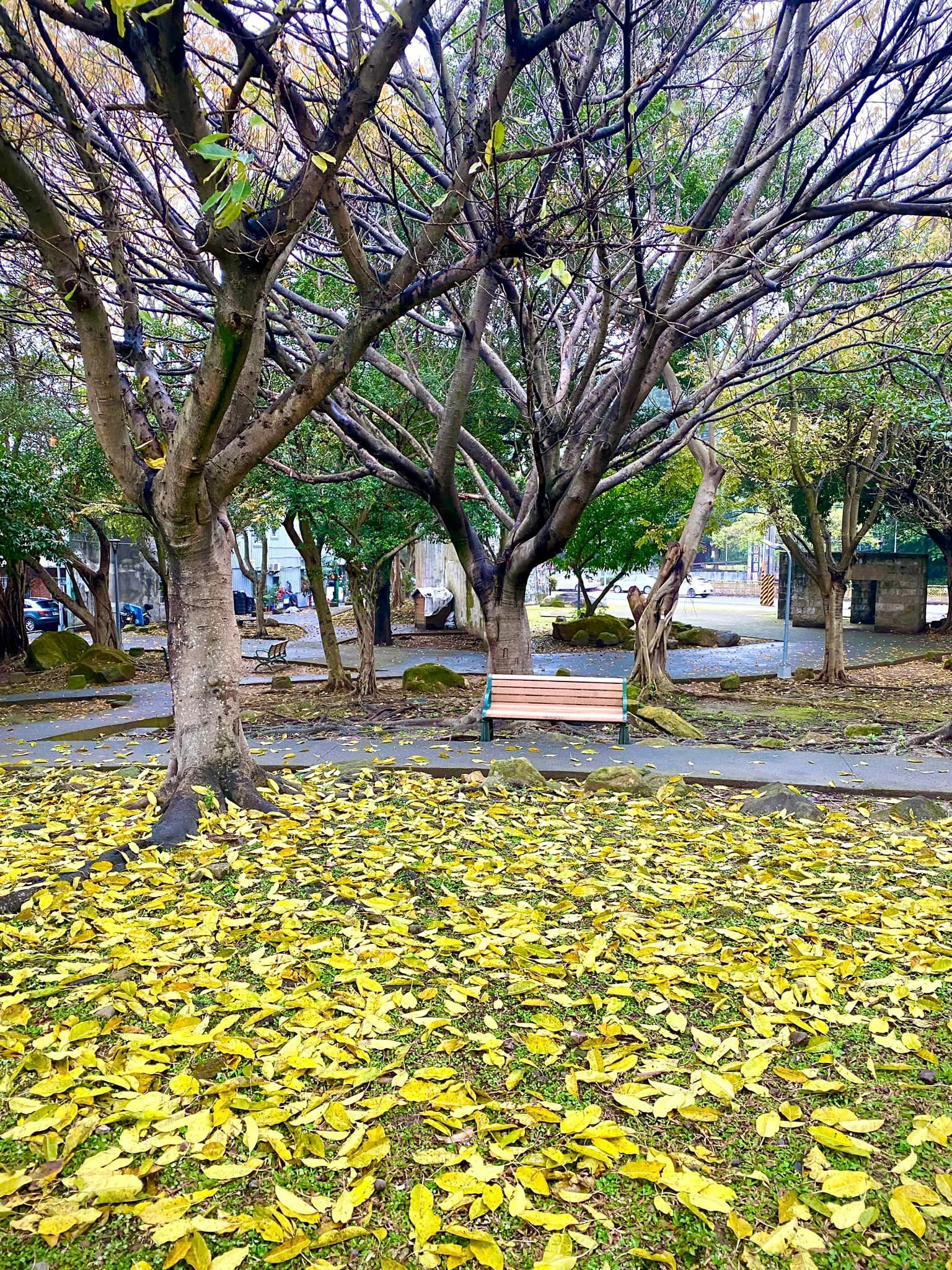 今天早點下班來這個位子坐坐想想