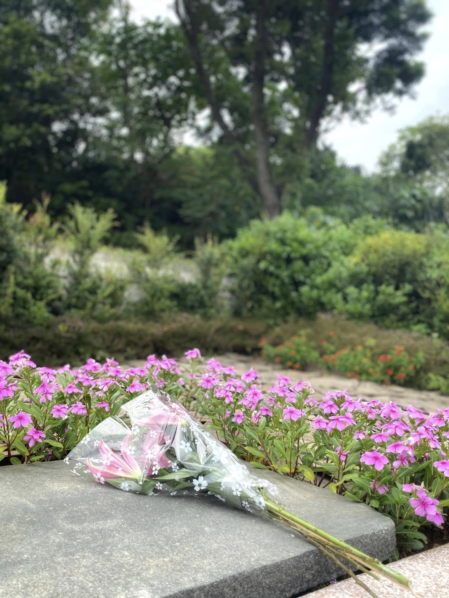 May be an image of scorpion grass